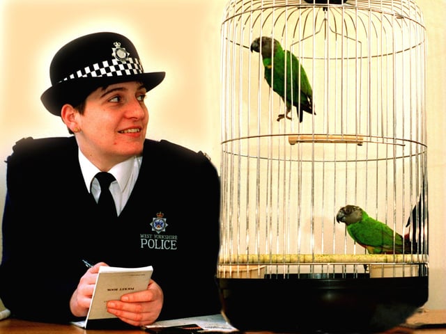 Police officer Sharon Dickinson with two parrots at Pontefract Police Station in February 1996.