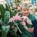 Dobbies Garden Centres Little Seedlings Club