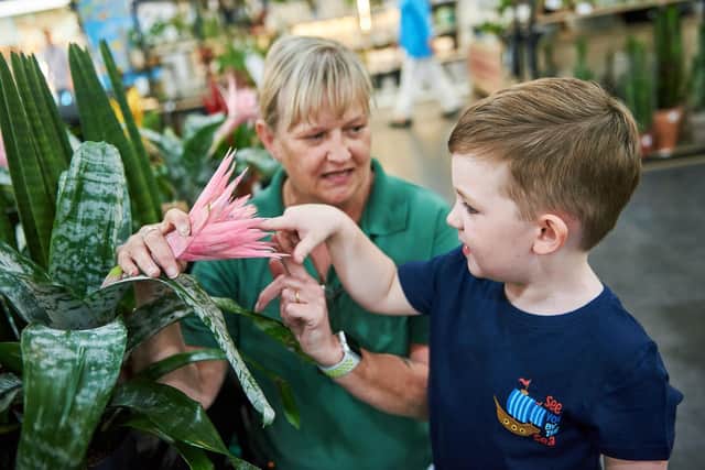 Dobbies Garden Centres Little Seedlings Club