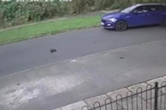 The RSPCA has released the CCTV image of the attack in Summerfield Road, Bradford