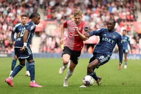 'LEGGY': Leeds United in Saturday's defeat at Southampton as Saints midfielder Stuart Armstrong gets in between Whites pair Crysencio Summerville, left, and Glen Kamara, right. Photo by George Tewkesbury/PA Wire.