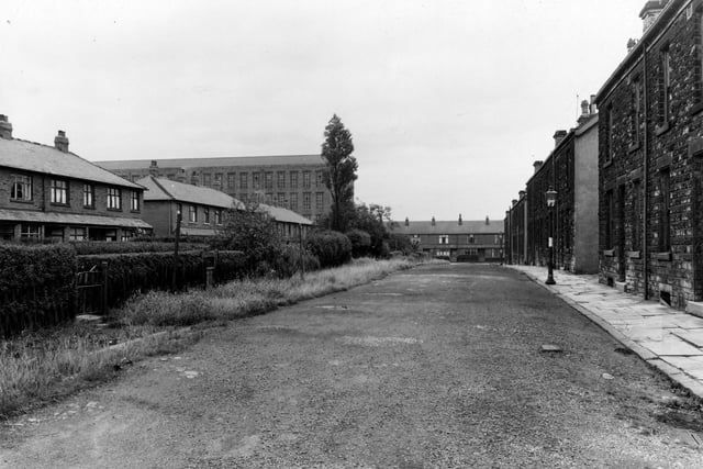 A view looking south down Nora Place in August 1954, with Westfields Mills in the background left. Houses line each side of the road with trees, bushes and a grass verge to the left. A lamp post can be seen on the right. Viewed from Leeds and Bradford towards Broad Lane.