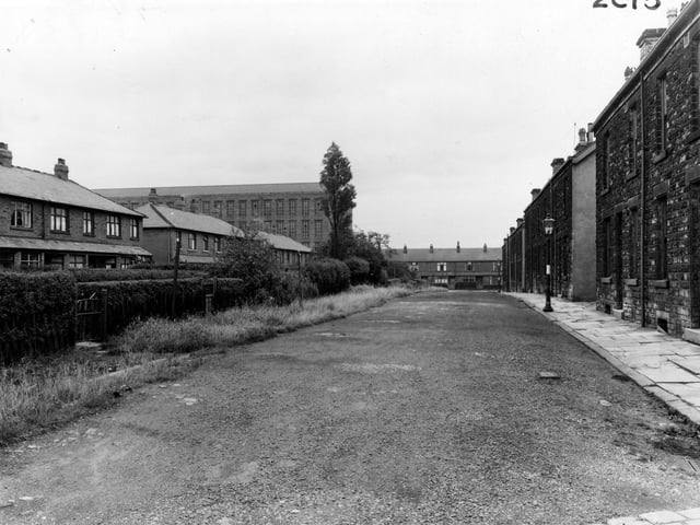 A view looking south down Nora Place in August 1954, with Westfields Mills in the background left. Houses line each side of the road with trees, bushes and a grass verge to the left. A lamp post can be seen on the right. Viewed from Leeds and Bradford towards Broad Lane.