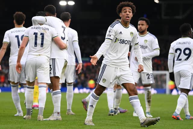 WANTED MAN - Leeds United want to keep Tyler Adams at the club so he and Ethan Ampadu can give Daniel Farke a pair of serious deep-lying midfield options in the Championship. Pic: Getty