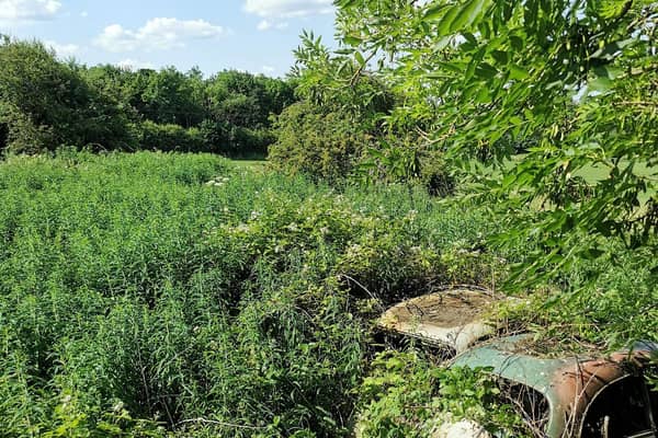 Located in a woodland behind the Old British Oak Hotel on Aberford Road in Wakefield, is the overgrown and rotting remains of a mysterious car cemetery.