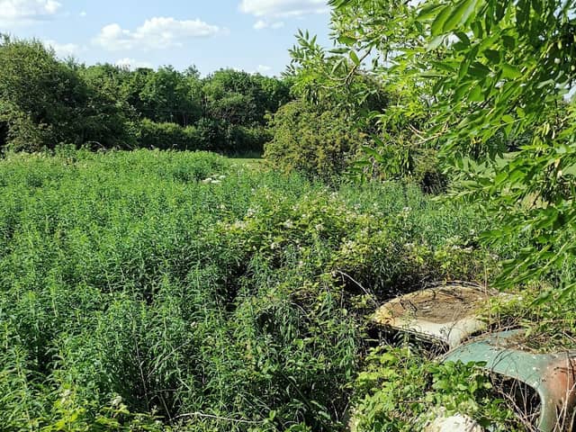 Located in a woodland behind the Old British Oak Hotel on Aberford Road in Wakefield, is the overgrown and rotting remains of a mysterious car cemetery.