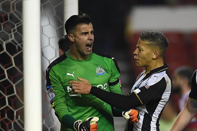 NOTTINGHAM, ENGLAND - DECEMBER 02:  Dwight Gayle of Newcastle United congratulates Karl Darlow on saving a penalty of Nicklas Bendtner of Nottingham Forest during the Sky Bet Championship match between Nottingham Forest and Newcastle United at City Ground on December 2, 2016 in Nottingham, England.  (Photo by Laurence Griffiths/Getty Images)