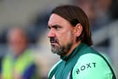 FIRM MESSAGE: From Leeds United boss Daniel Farke, above, for today's final pre-season friendly at Hearts. Photo by David Rogers/Getty Images.