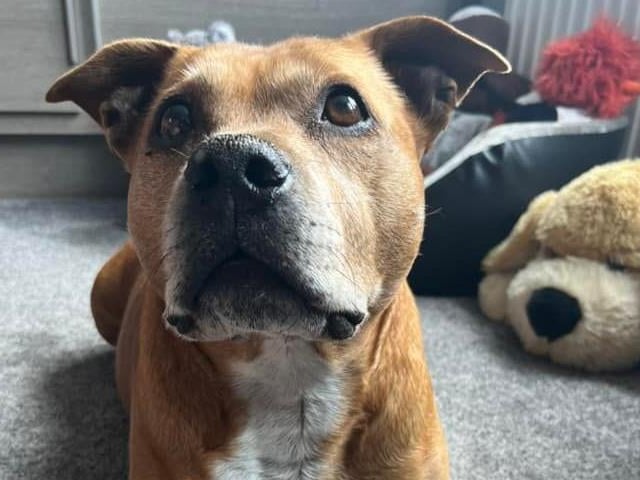 David Walton said: "He’s my best mate my old lad."