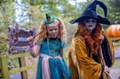 Halloween at Stockeld Park