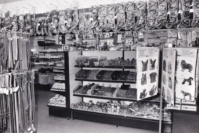 Pet City on Kirkgate claimed to be a pet shop with a difference in November 1984. It was modern and clean - like a pet supermarket - and it aimed to cater for every requirement.