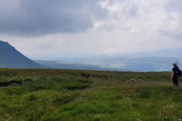 Wild Ingleborough partnership continued into its third year, increasing the existing 1200 hectares of new land large-scale landscape restoration by 420 hectares