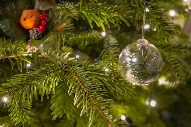 WiSE is offering a Christmas tree collection to boost funds for its Grass Cutting Scheme