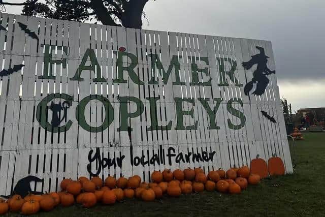 Farmer Copleys has been named one of the UK’s best pumpkin patches to visit this autumn.