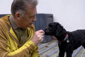 Chris meeting hearing dog puppy-in-training Theo for the first time.