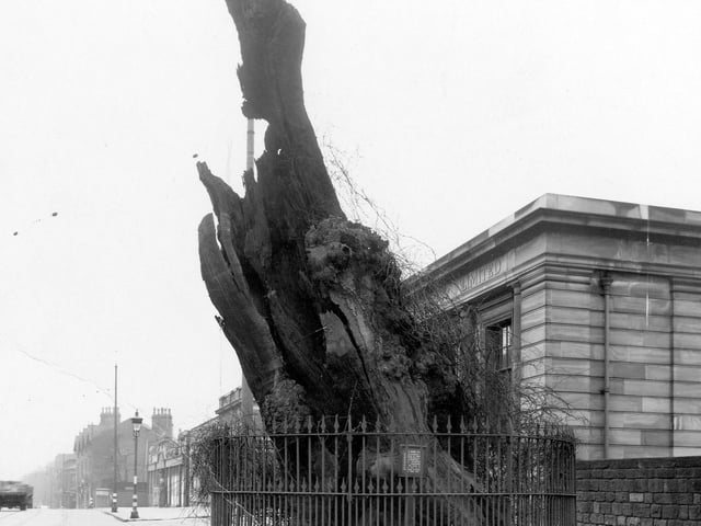 The Shire Oak just before it collapsed in May 1941. Midland Bank can be seen behind.