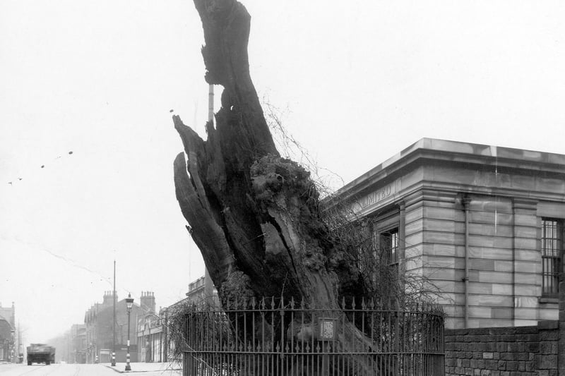 The Shire Oak just before it collapsed in May 1941. Midland Bank can be seen behind.