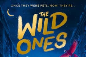 The Wild Ones by Steve Cole and Johanna Tarkela