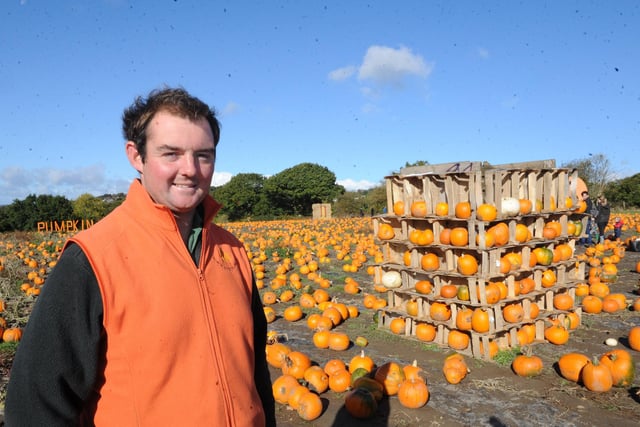 Farmer Joe Kemp with his pumpkins