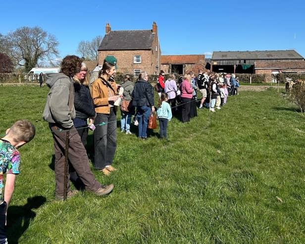 Public watching the animals