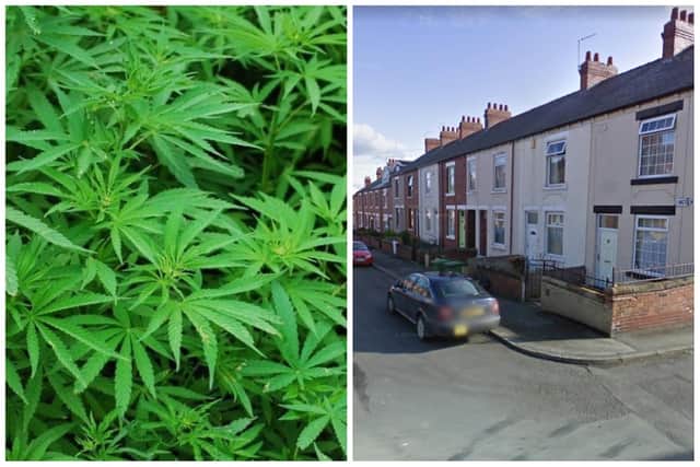 Police found 52 cannabis plants in the house on Lincoln Street with the usual sophisticated set up, but only eight plants were successful.