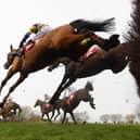 The Cheltenham Festival gets underway this week. Picture: Mike Hewitt/Getty Images