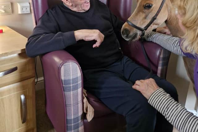Resident from HC-One’s Newfield Lodge Care Home with Hazle, a therapeutic miniature American horse from KL Pony Therapy