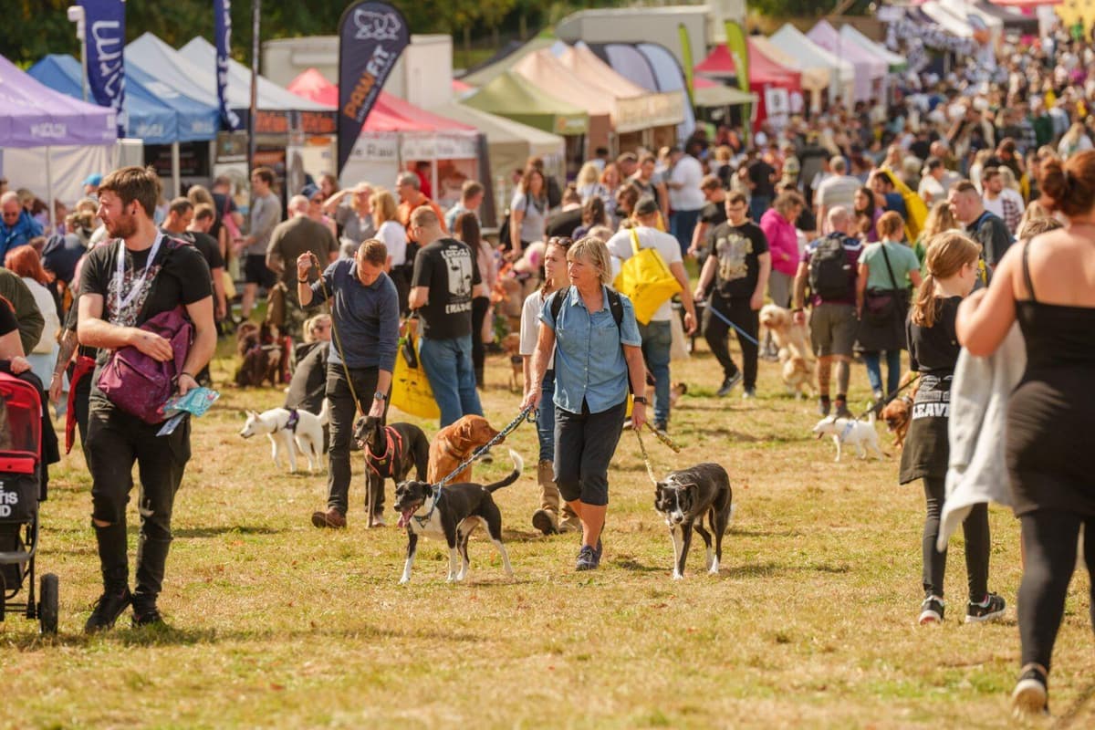 Dogfest Everything you need to know as DogFest returns to Leeds this September