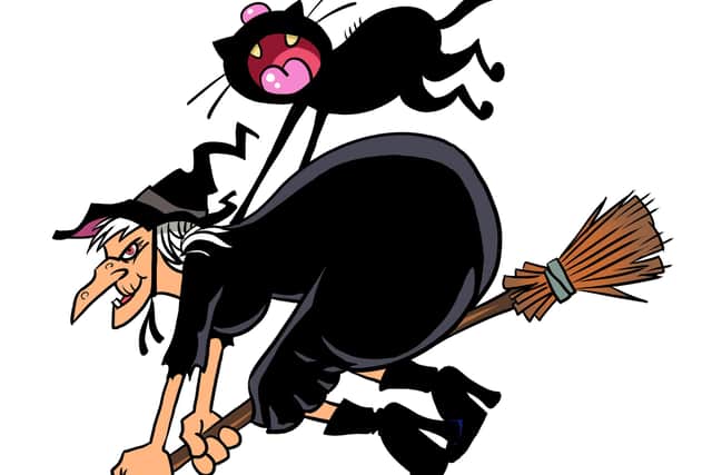Black cats are often associated with witches (photo: Adobe)