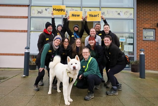 Finally, the entire team of staff and volunteers at Dogs Trust Leeds would like to thank everybody who has supported them throughout 2022.
They consider themselves very lucky to have such an amazing local following. From people regularly donating unwanted bedding, toys or treats for the dogs, to people voluntarily giving their time, and homes.
They are heading into 2023 with many more challenges to face, but with the continued support of the wider community, they know they’ll continue to be there for countless dogs in need.
Happy New Year everybody!