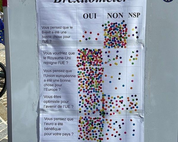 The French language 'Brexitometer' again proved popular at Braderie de Lille. Questions: 1. Was Brexit good for the EU? 2. Would you welcome the UK back into the EU? 3, Do you think the EU has been good for Europe? 4. Do you feel positive about the future of the EU? 5. Do you think the Euro has been good for your country?