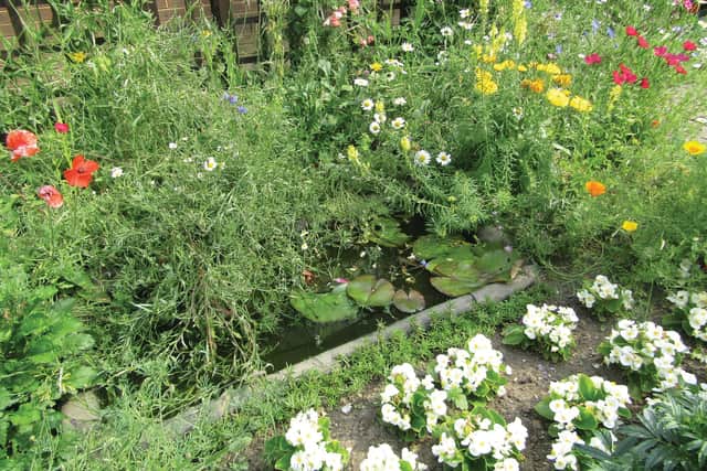 A wildlife-friendly garden at Hull Prison.