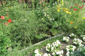 A wildlife-friendly garden at Hull Prison.