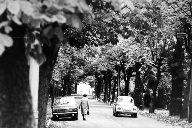 A tree lined Lidgett Park Road in Roundhay in October 1975.