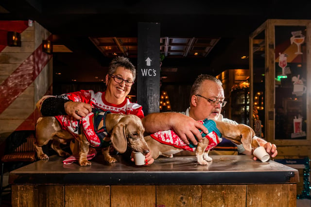 Gill and David Byers, with dogs Hugo and Teddy, both 10-months old, who enjoyed unique doggie beverage 'puppuccinos'.