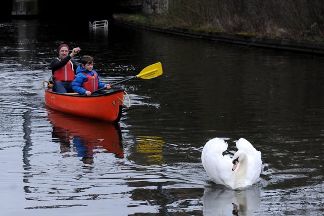 John Mullen and nine-year-old Francis Mullen get to see the new park from a swan's perspective.