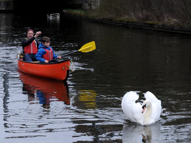 John Mullen and nine-year-old Francis Mullen get to see the new park from a swan's perspective.