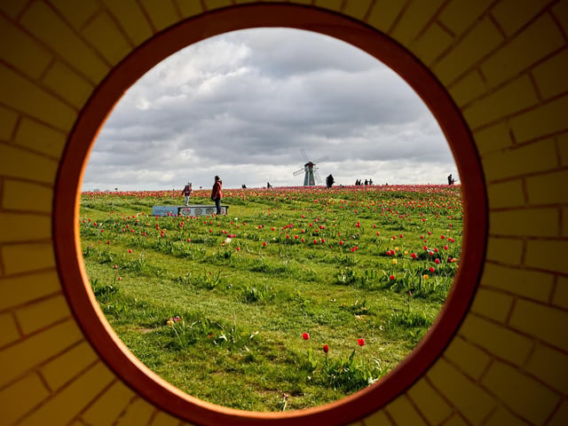 Farmer Copleys’ Dutch-inspired Tulip Festival has returned for its third year.