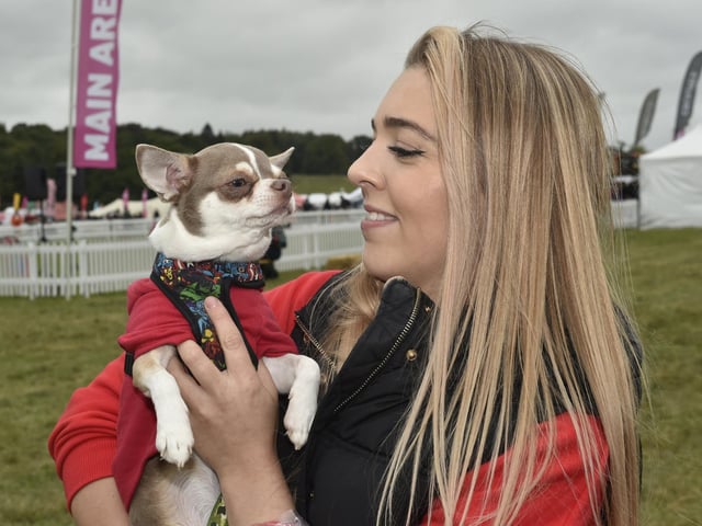 Amy Mackie was accompanied by her chihuahua Kevin.