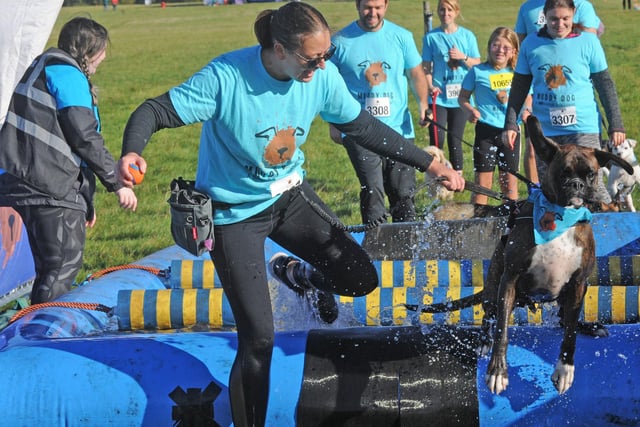 Dogs and their owners faced muddy challenges all Saturday as part of the Muddy Dog Competition.