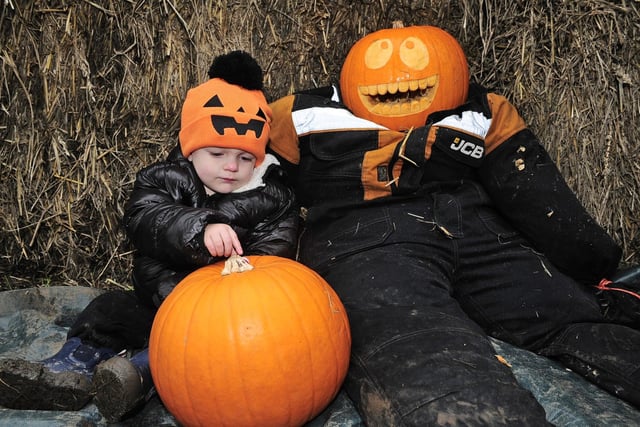 Elijah Farley, 18 months, of Garforth happy with his pumpkin