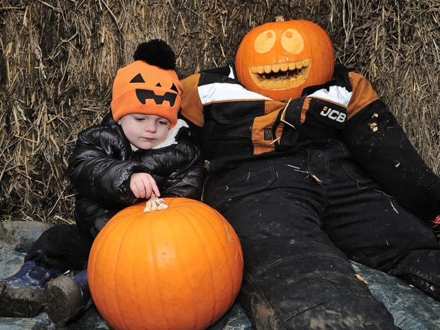Elijah Farley, 18 months, of Garforth happy with his pumpkin