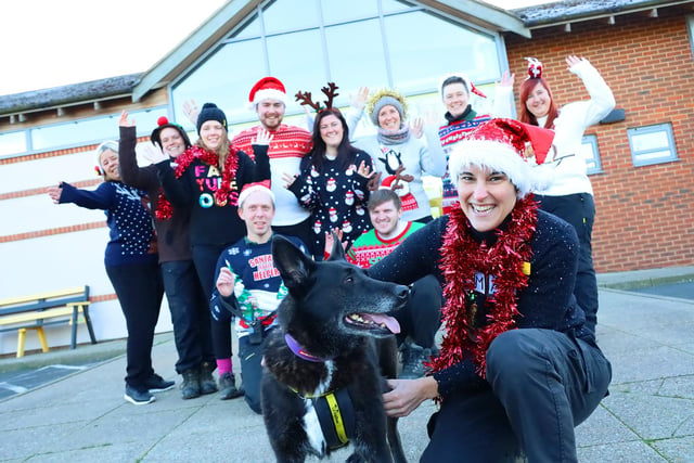 This week the team celebrated Christmas jumper Day by donning some festive clothing and had lots of fun with the rescue dogs!
Purdy, seen here, was enjoying all the fuss and attention since she loves being around her friends so much. She’s a six yr old German Shepherd Cross who’s looking for her forever home NOW!