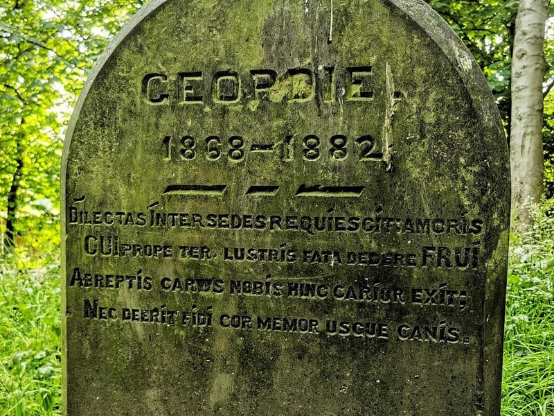 The smaller headstones were for the family dog 'Geordie' (1868-1882).