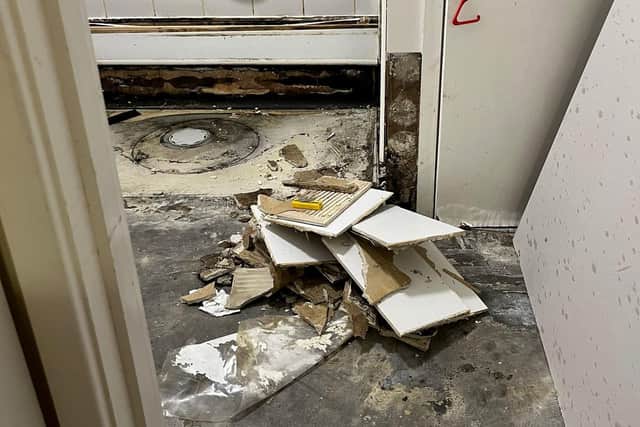 They are now dealing with the mould around her toilet but the supposed "quick job" has taken longer than expected.