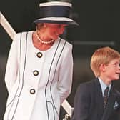 Harry and William inherited Diana’s money on their 30th birthdays (Getty Images)