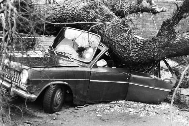 This motorist was left counting the cost on Woodhouse Lane after gales battered the city in February 1983.
