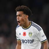 FULL THROTTLE: For Tyler Adams, above, and his USA international team mate Brenden Aaronson for Leeds United in Saturday's clash at Tottenham Hotspur. 
Photo by Harriet Lander/Getty Images.