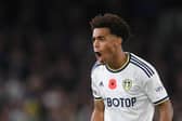 FULL THROTTLE: For Tyler Adams, above, and his USA international team mate Brenden Aaronson for Leeds United in Saturday's clash at Tottenham Hotspur. 
Photo by Harriet Lander/Getty Images.