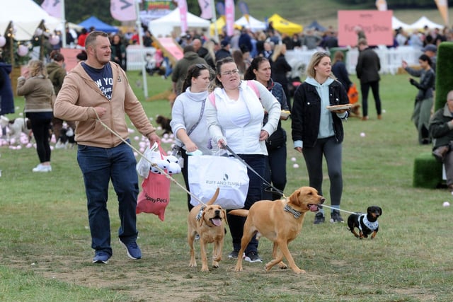 People brought along their canine companions for the festival.